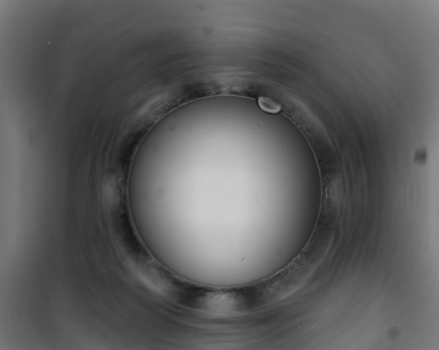 X0000101400218200807141204