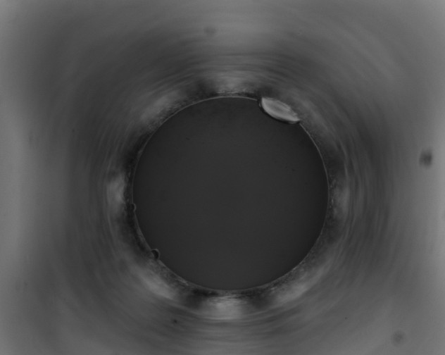 X0000101400219200807141204