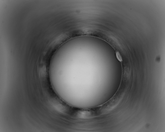 X0000101400220200807141204