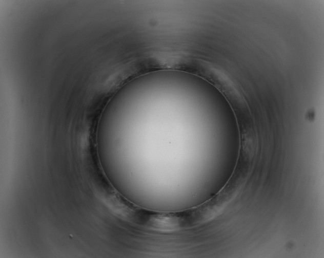 X0000101400221200807141204