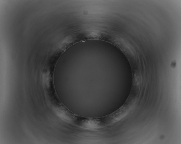 X0000101400223200807141204