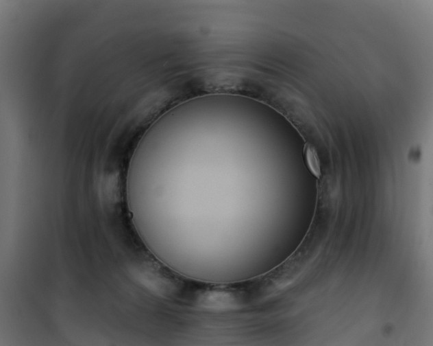 X0000101400224200807141204