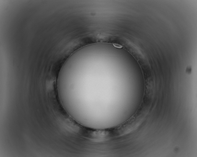 X0000101400225200807141204