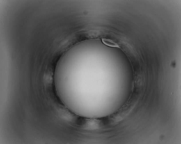 X0000101400226200807141204