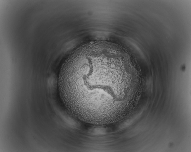 X0000101400228200807141204