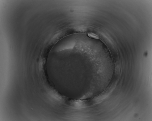 X0000101400229200807141204