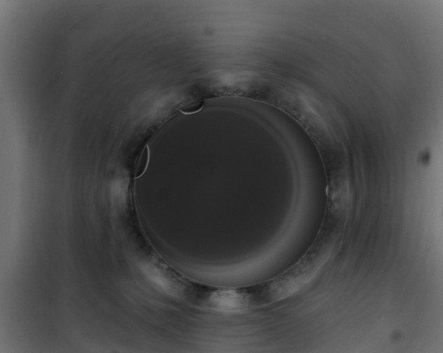 X0000101400231200807141204