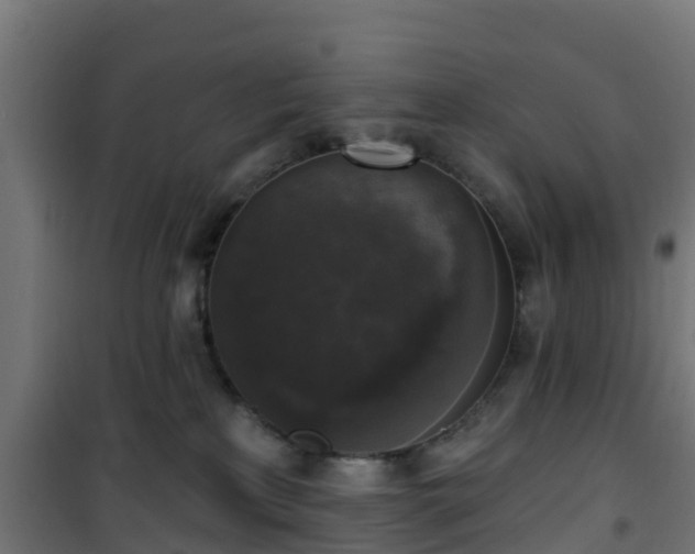 X0000101400233200807141204