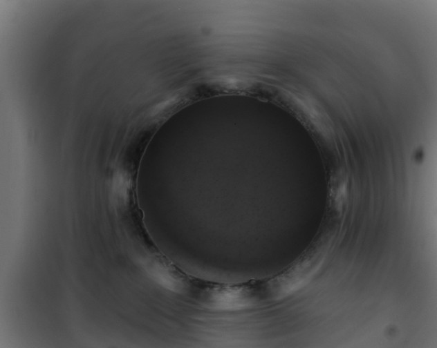 X0000101400235200807141204