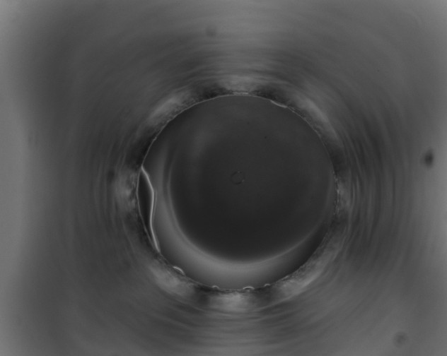 X0000101400237200807141204