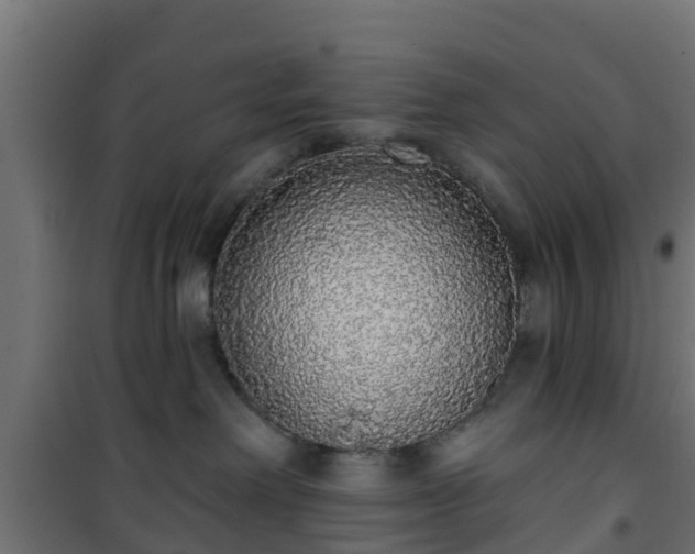 X0000101400238200807141204