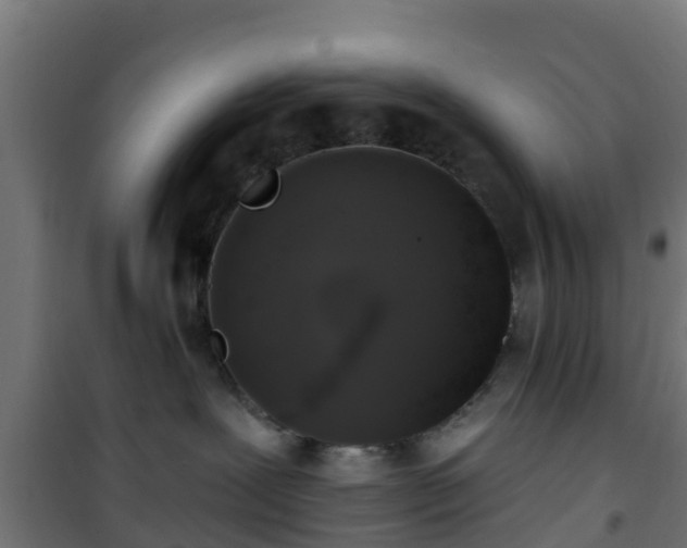 X0000101400239200807141204