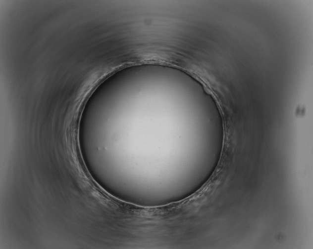 X0000101400241200807141203