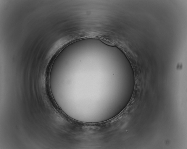 X0000101400242200807141203