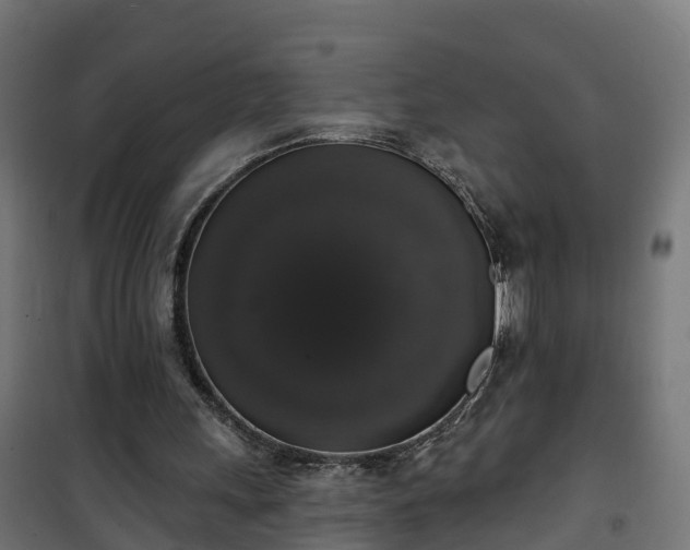 X0000101400243200807141204