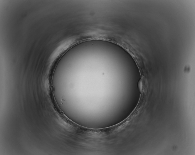 X0000101400245200807141204