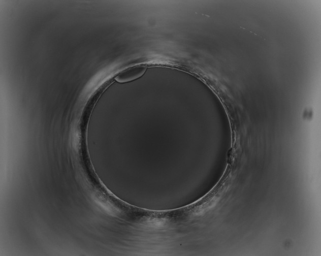 X0000101400247200807141204