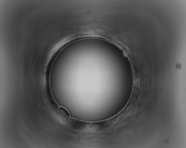 X0000101400248200807141204