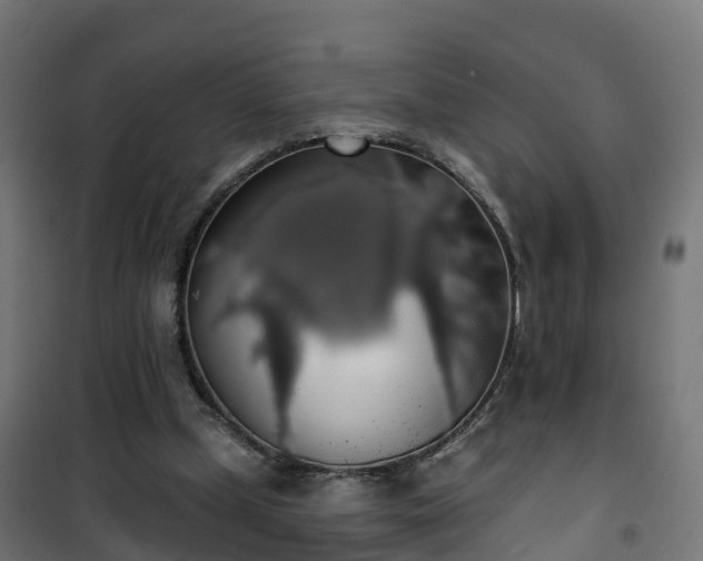 X0000101400249200807141204