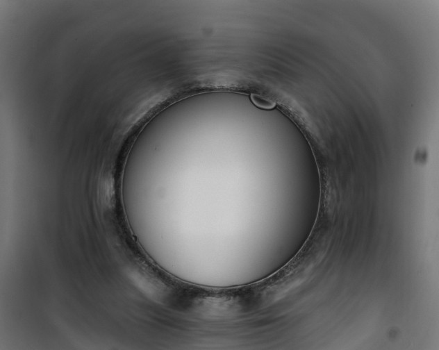 X0000101400251200807141204