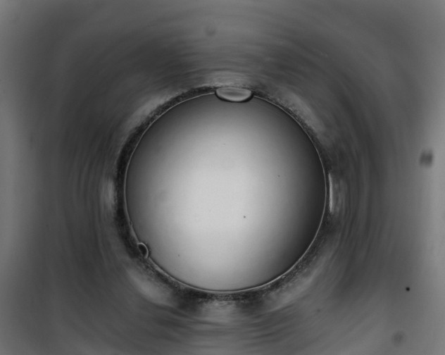 X0000101400252200807141204