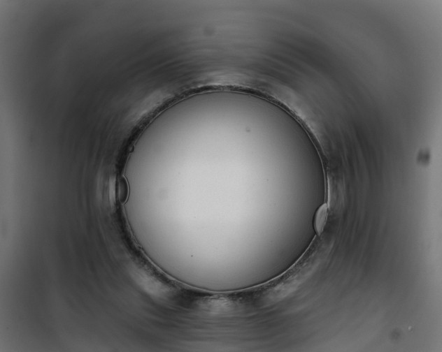 X0000101400253200807141204