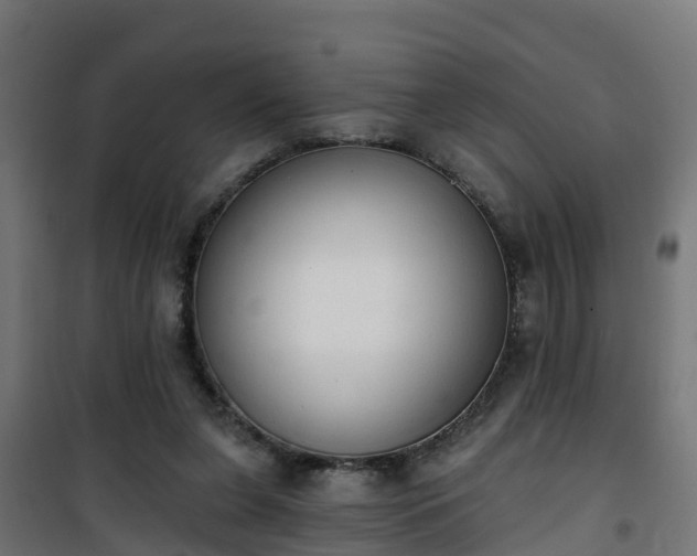 X0000101400255200807141204