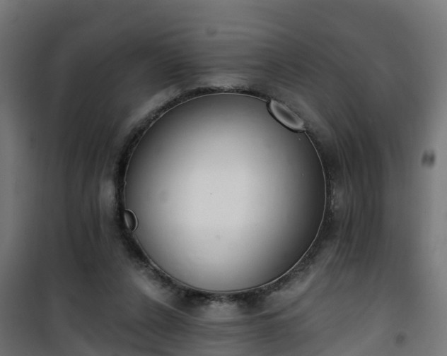 X0000101400256200807141204