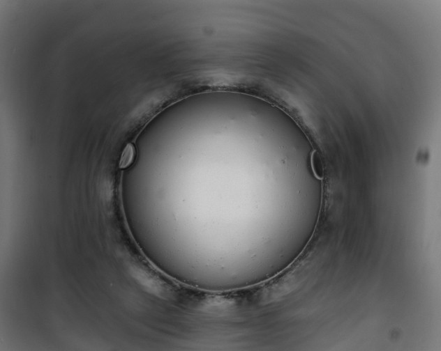 X0000101400257200807141204