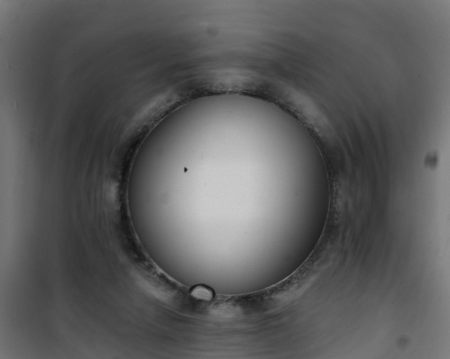 X0000101400258200807141204