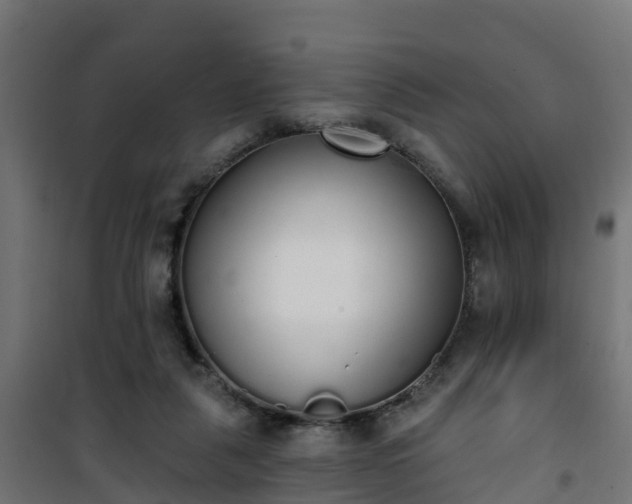 X0000101400259200807141204