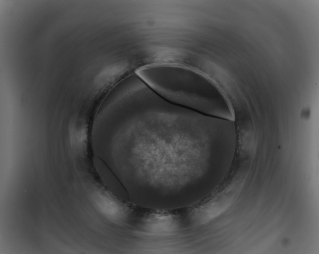 X0000101400260200807141204