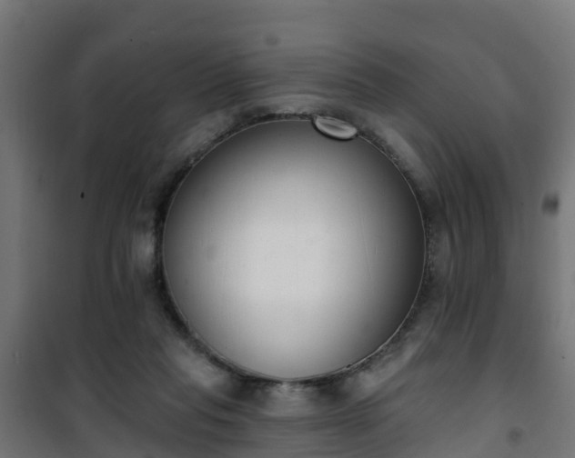 X0000101400261200807141204