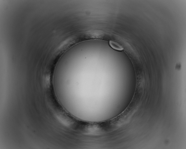 X0000101400262200807141204