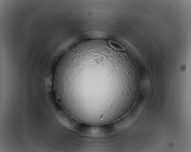 X0000101400264200807141204