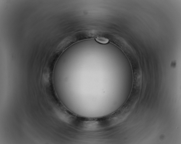 X0000101400266200807141204