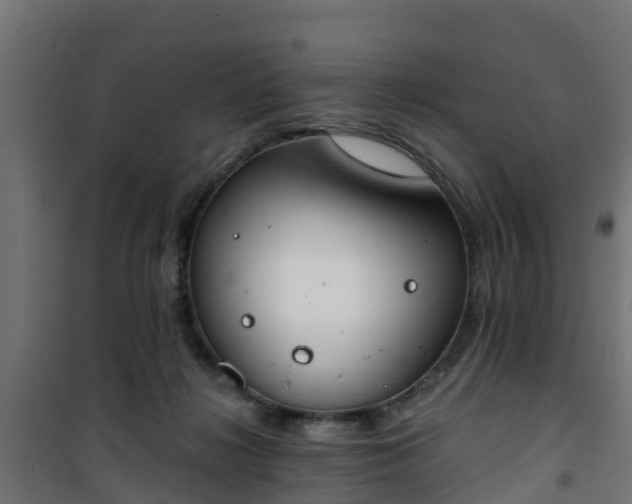 X0000101400268200807141204