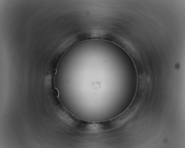 X0000101400269200807141204