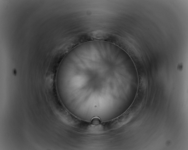 X0000101400271200807141204