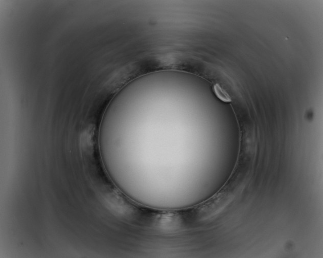 X0000101400275200807141204