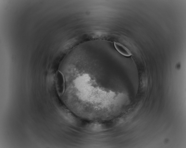 X0000101400276200807141204