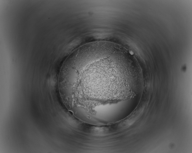 X0000101400277200807141204