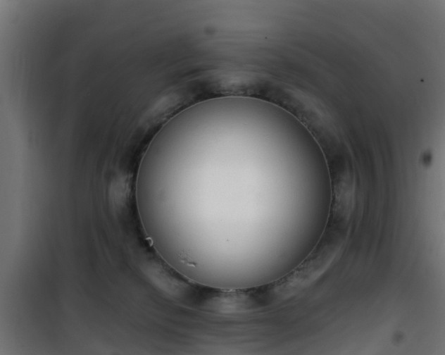 X0000101400278200807141204