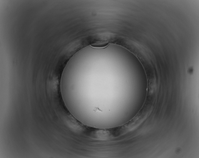 X0000101400279200807141204