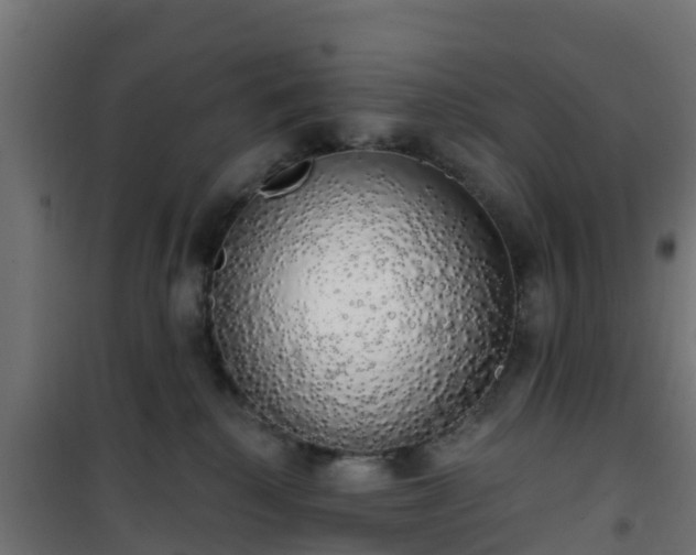 X0000101400280200807141204