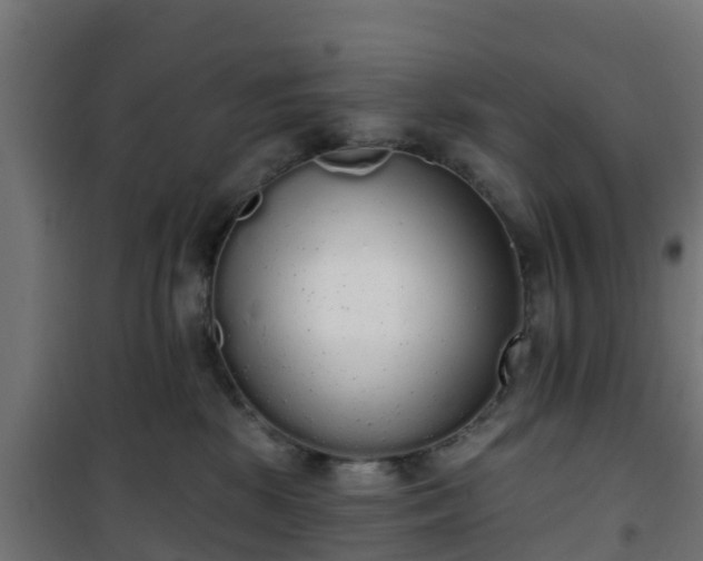 X0000101400281200807141204