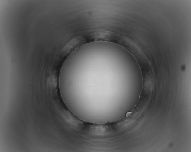 X0000101400282200807141204