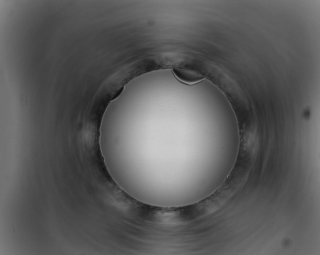 X0000101400283200807141204