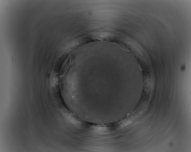 X0000101400284200807141204