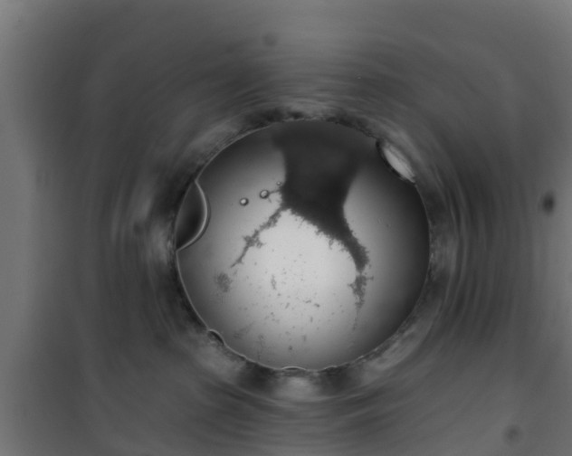 X0000101400285200807141204